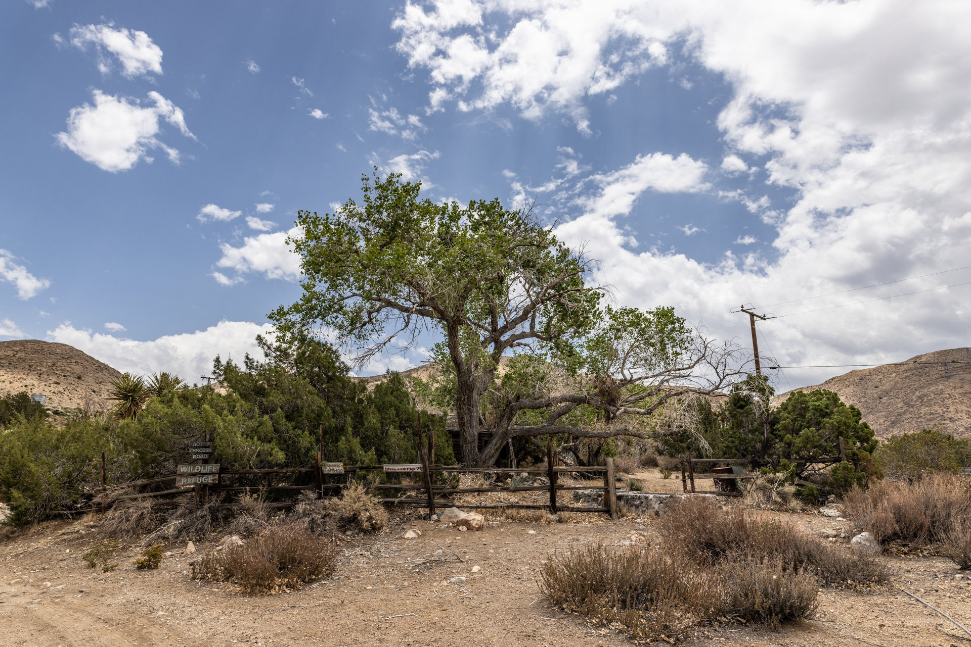 Juniper Ranch Entry