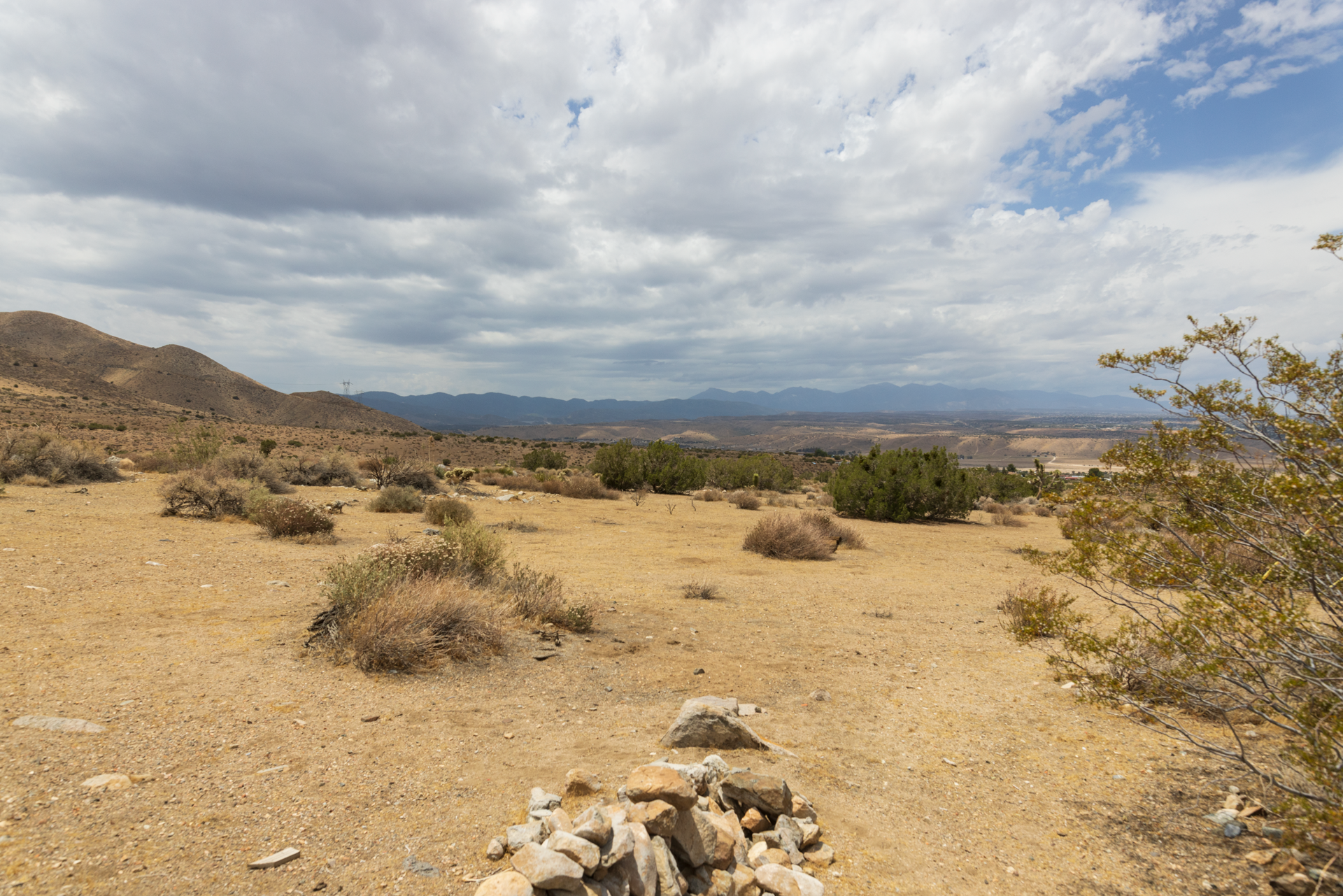 Juniper Ranch - West View